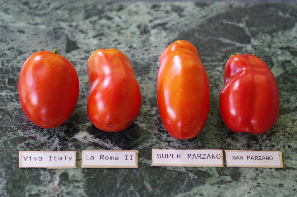 Why San Marzano Tomatoes and Extra Virgin Olive Oil Make the Best Italian Marinara Sauce